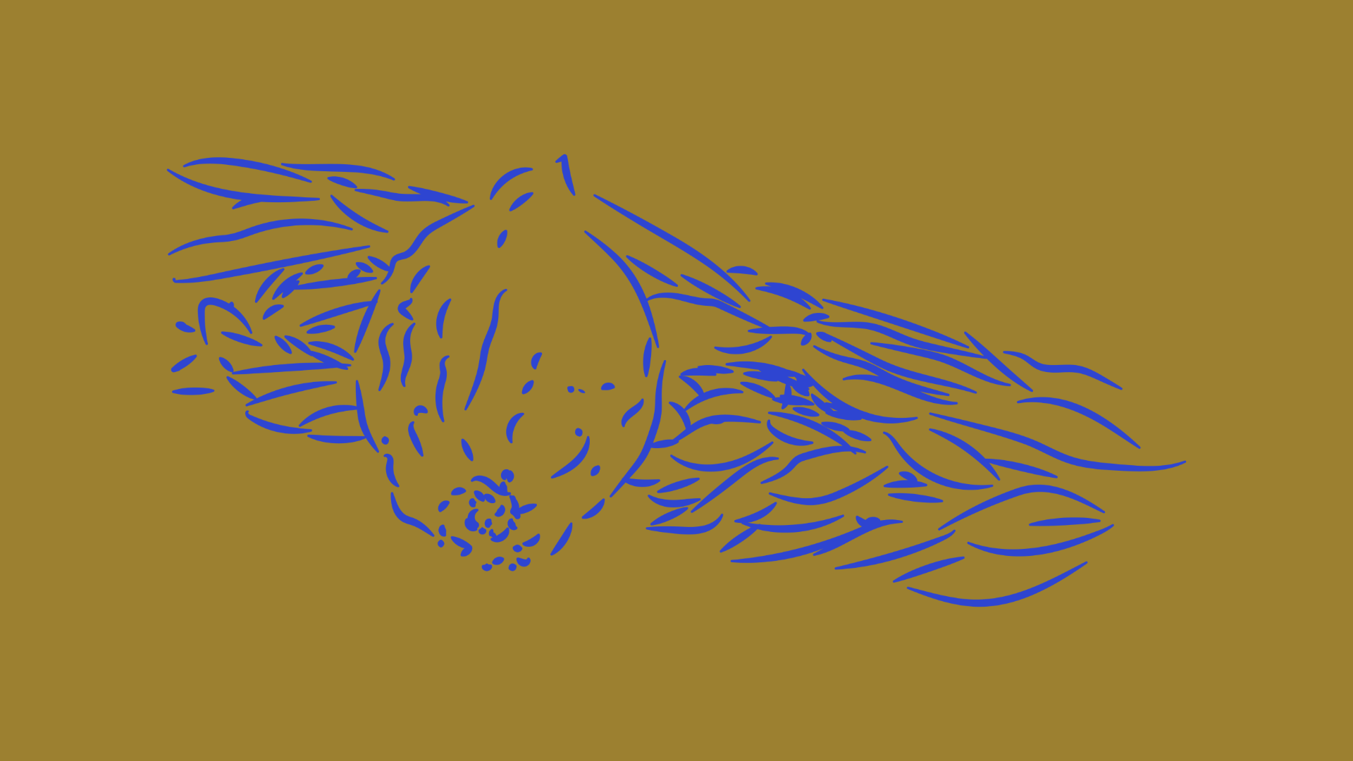 Unbenannt 2 30