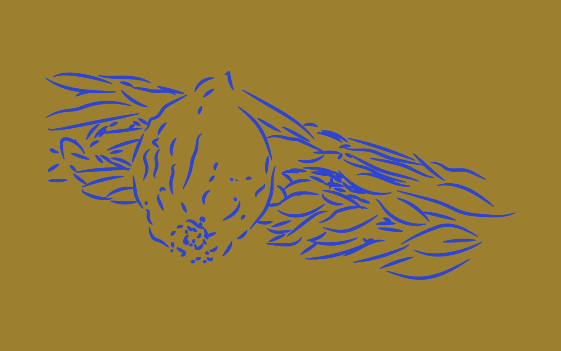 Unbenannt 2 30